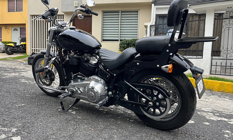 Harley-Davidson Soft...