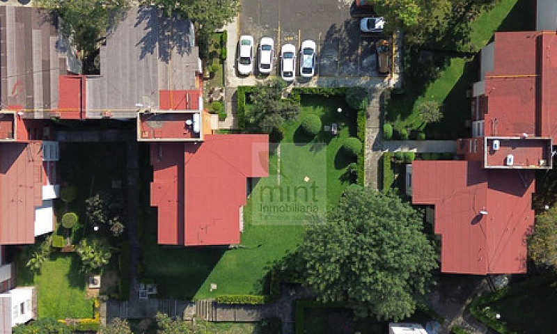 Vista Y Oxígeno De R...