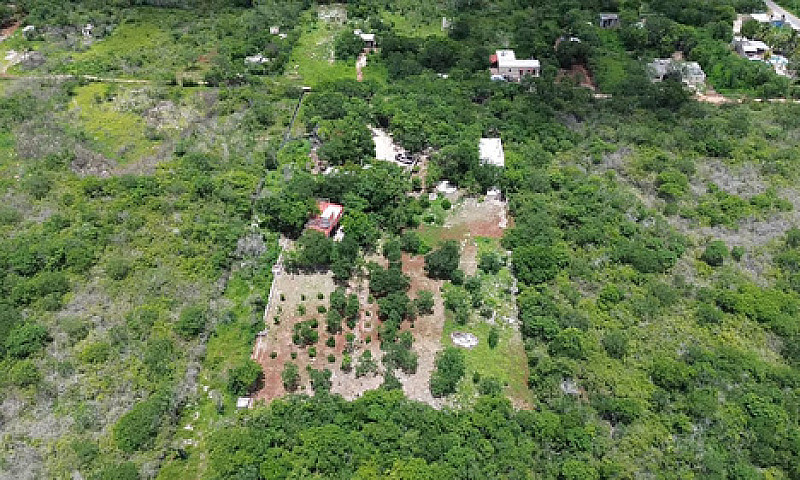 Quinta En Remate  Se...