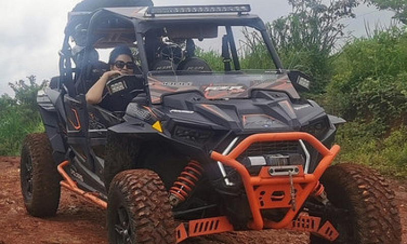 Rzr Polaris Xp 1000 ...