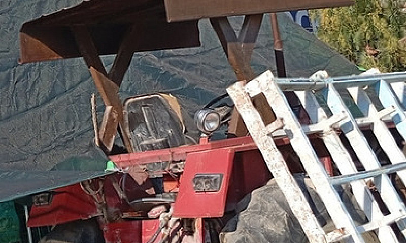 Tractor Sidena De 85...