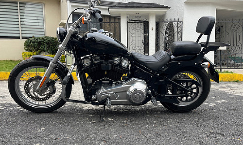 Harley-Davidson Soft...