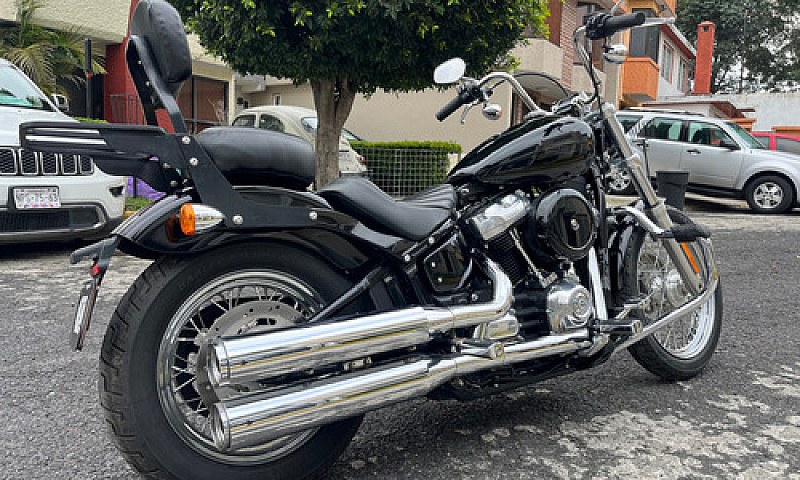 Harley-Davidson Soft...
