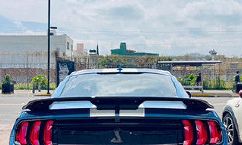 Ford Mustang Gt 500 ...