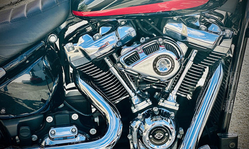 Harley-Davidson Soft...