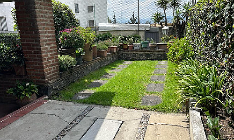 Casa En  Venta En Av...