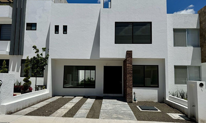 Casa Ideal, Roof Gar...