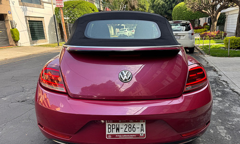 Hermoso Beetle 2017 ...