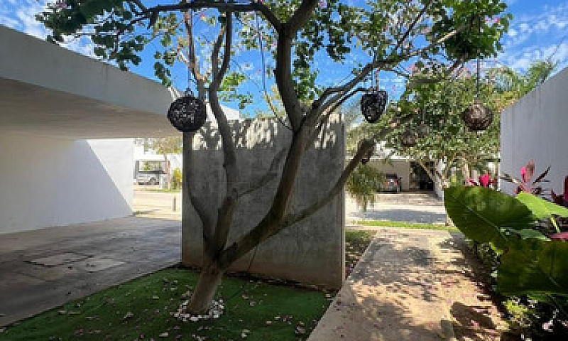 Casa En Venta(Panele...