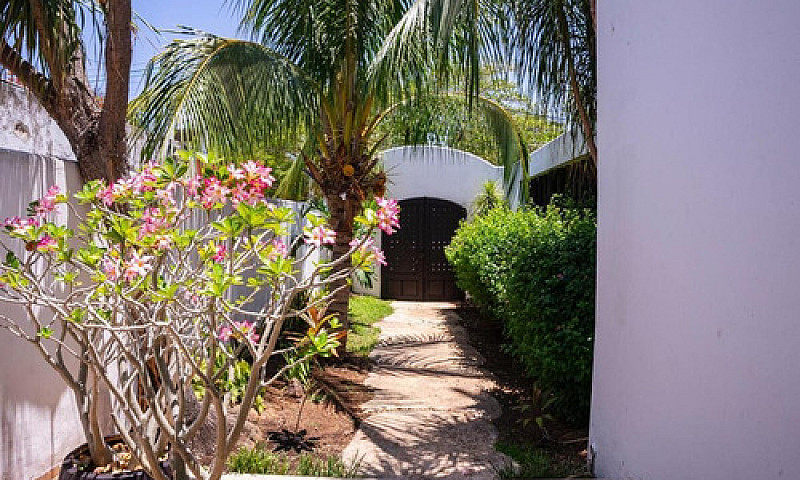 Casa En Venta En Col...