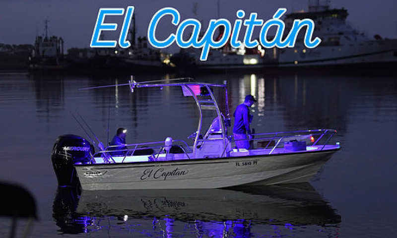 Boston Whaler 190 Mo...