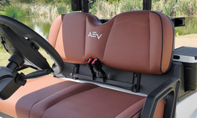 Carro De Golf Premiu...