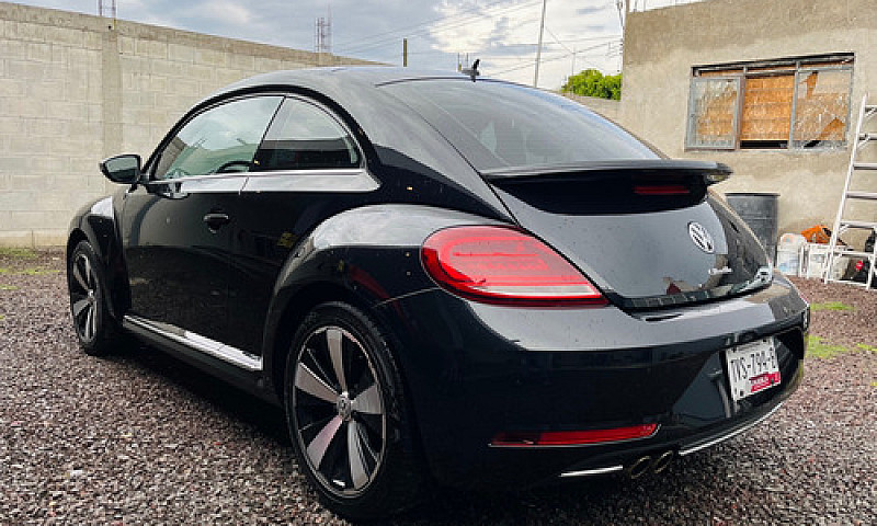 Beetle Final Edition...