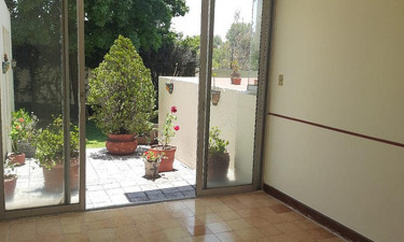 Casa En Venta-Renta,...