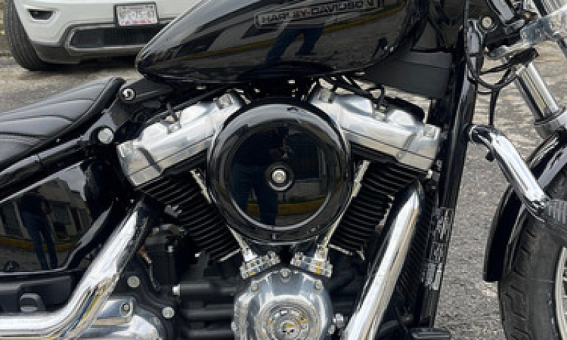 Harley-Davidson Soft...