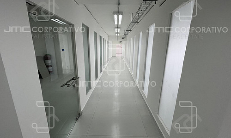 Oficina En Renta, Av...