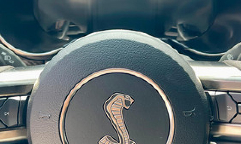 Ford Mustang Gt 500 ...