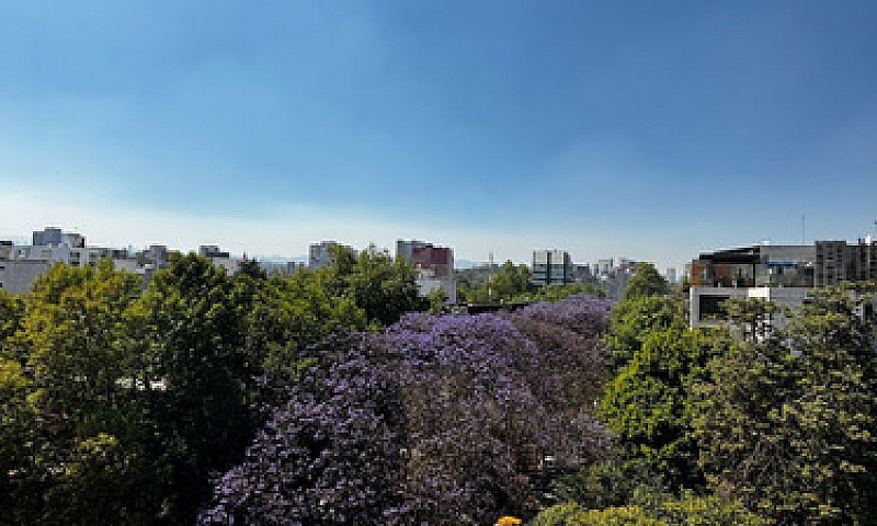 Departamento En Vent...