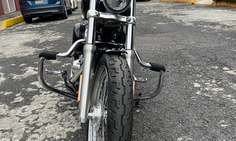 Harley-Davidson Soft...