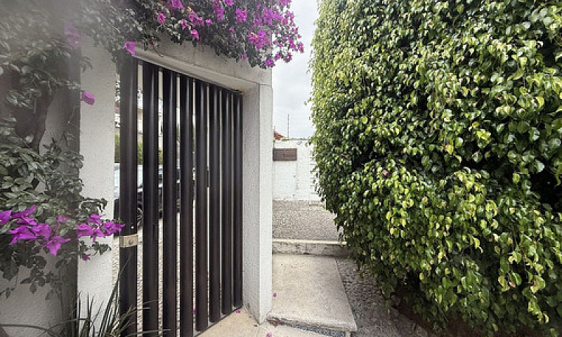 Casa En Venta En Par...