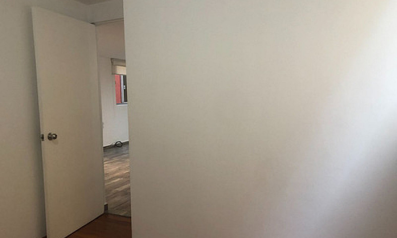 Vive Cerca Del Bosqu...