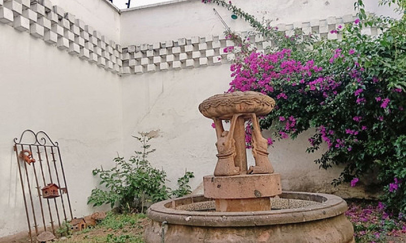 El Rosedal  Coyoacan...