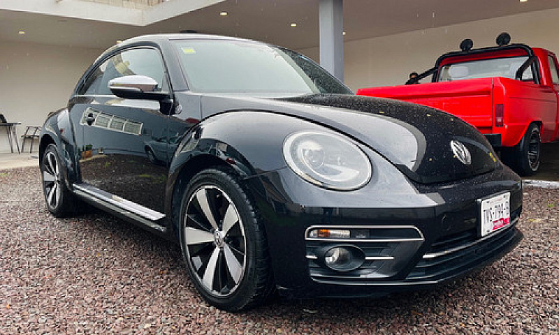 Beetle Final Edition...