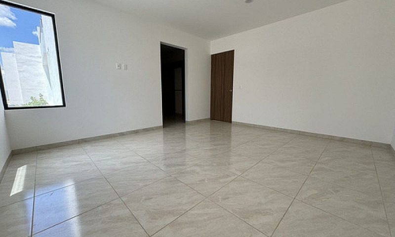 Casa Ideal, Roof Gar...