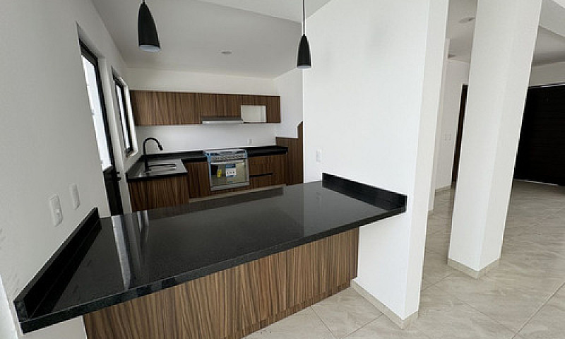Casa Ideal, Roof Gar...