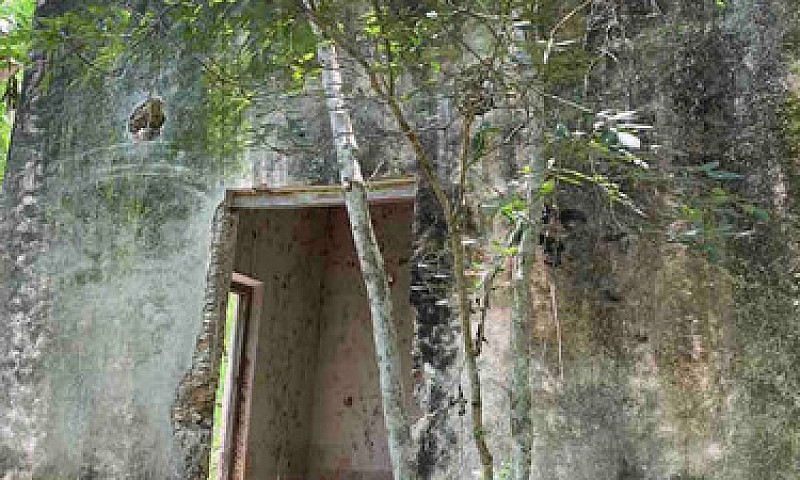 Ex Hacienda Henequen...