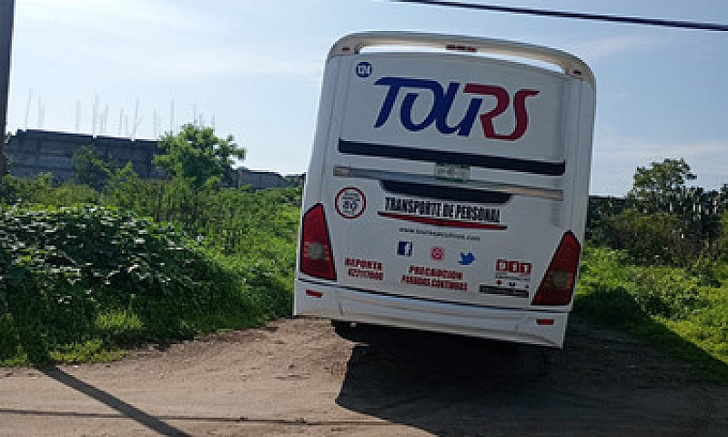 Autobús Transporte P...