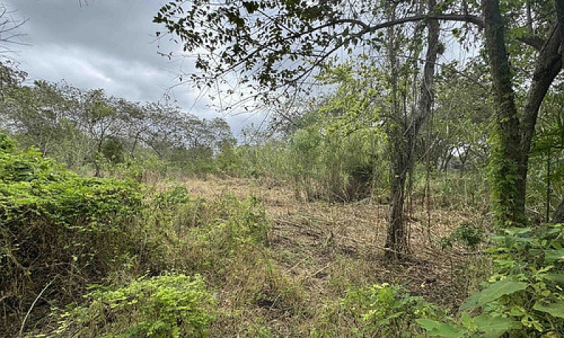 Rancho Ganadero Y Ag...