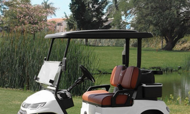 Carro De Golf Premiu...