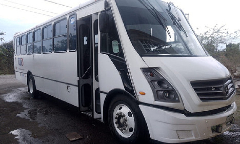 Autobús Transporte P...