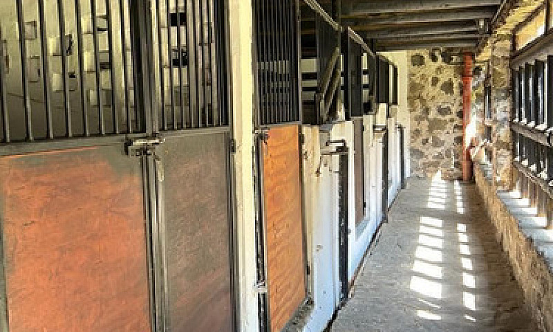Venta De Cortijo En ...