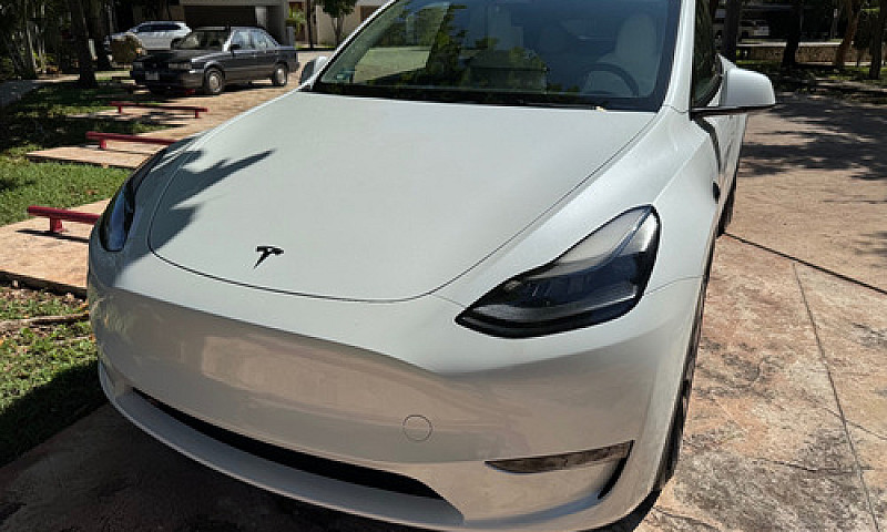 Tesla Model Y Perfor...