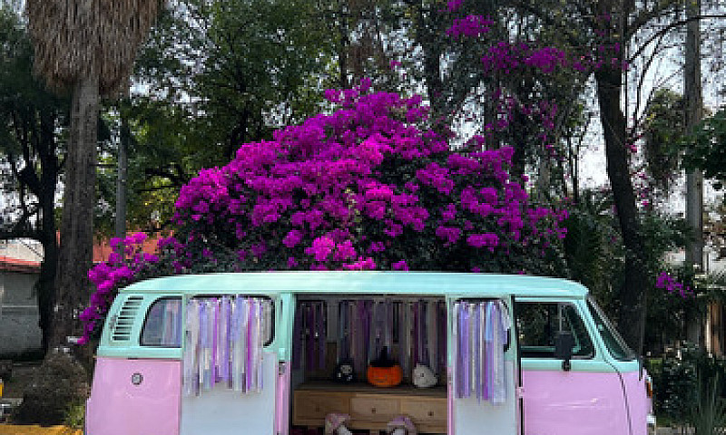 Volkswagen Combi 1.6...