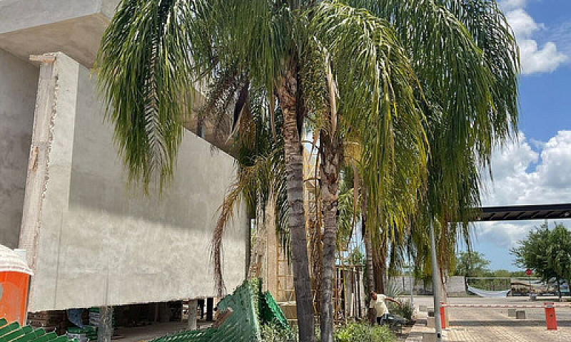 Venta Casa En Temozo...