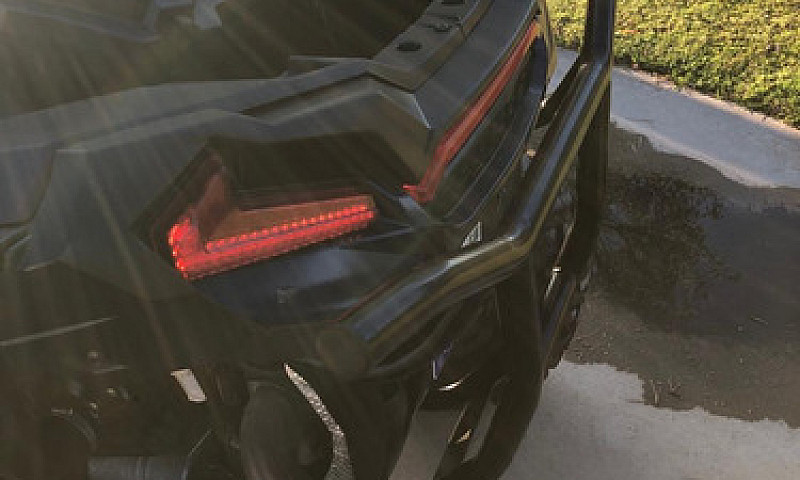 Rzr Xp1000...
