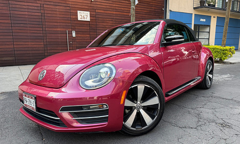 Hermoso Beetle 2017 ...