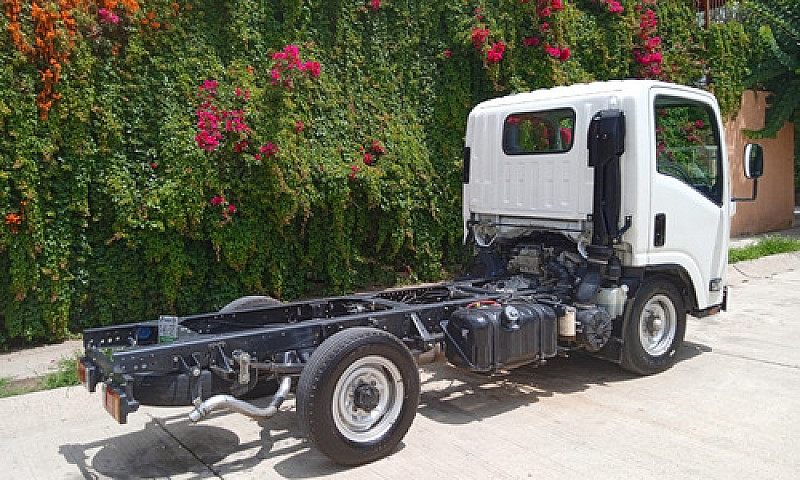 Isuzu Elf 100 2022 2...
