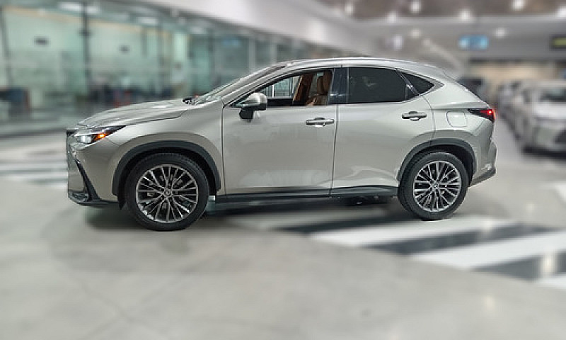 Lexus Nx 2022...