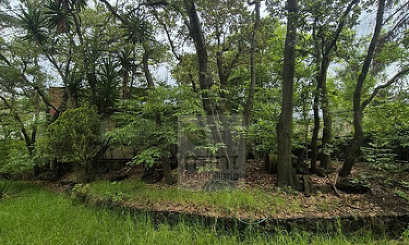 Jardines Del Ajusco ...