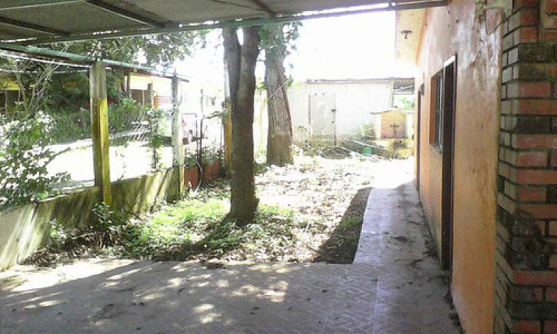 Venta Casa Con Terre...