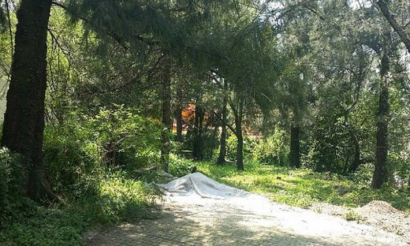 Terreno En Venta En ...