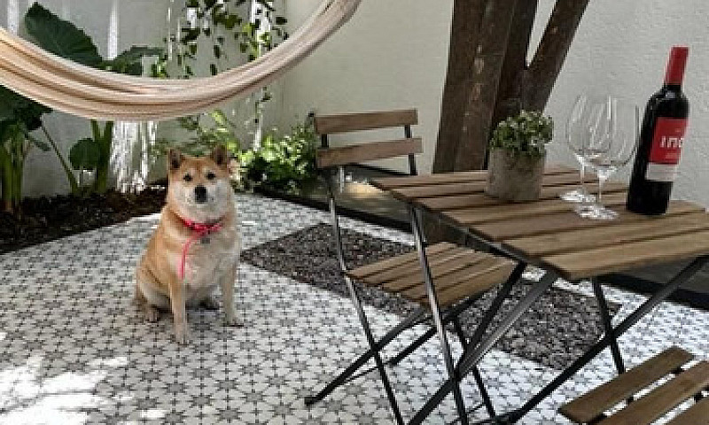 Condesa Venta  Depar...
