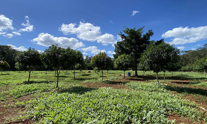 Rancho  Agrícola En ...