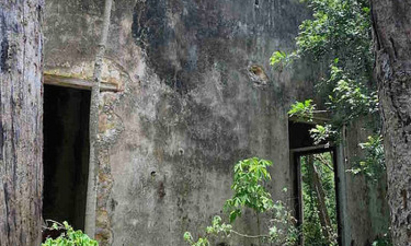 Ex Hacienda Henequen...