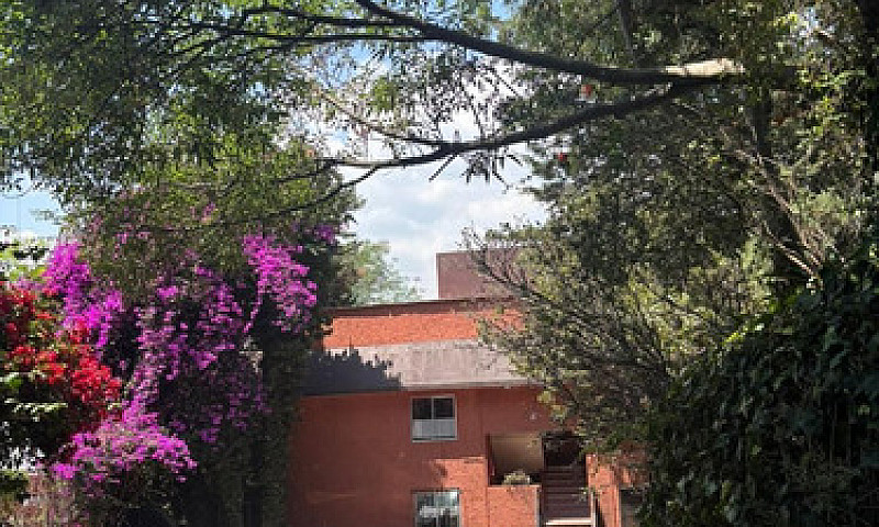 Olivar De Los Padres...