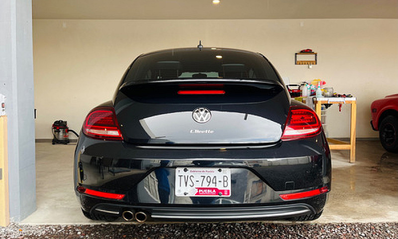 Beetle Final Edition...